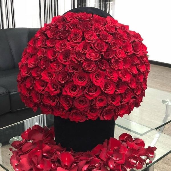 Classic 100 roses (No baby breath)