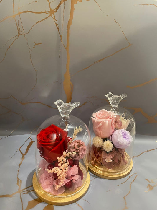 Preserved Flower in Petite Bird Glass Dome