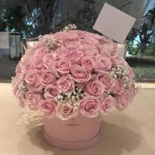 Classic 100 roses (No baby breath)